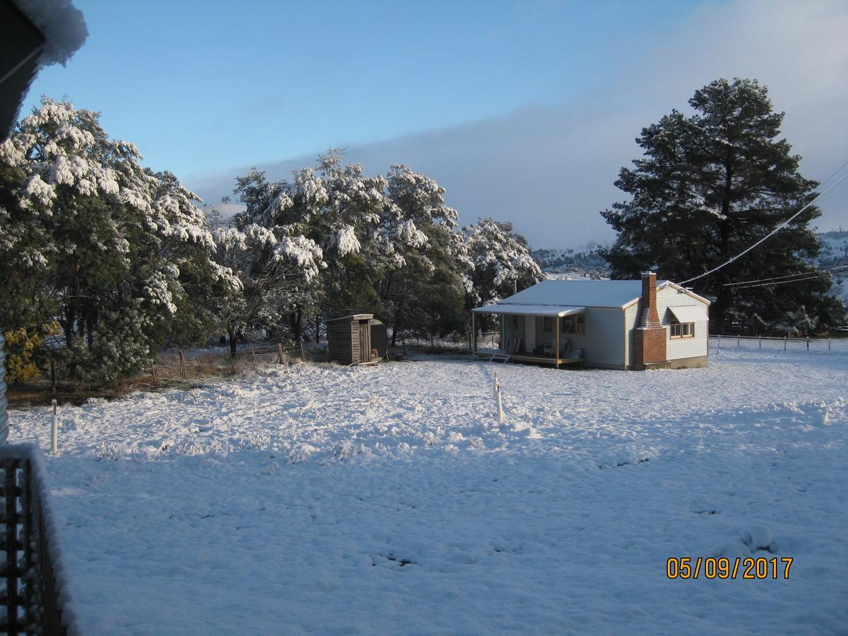 Shearers' Quarters Rathmore Hollow Tree Exteriör bild